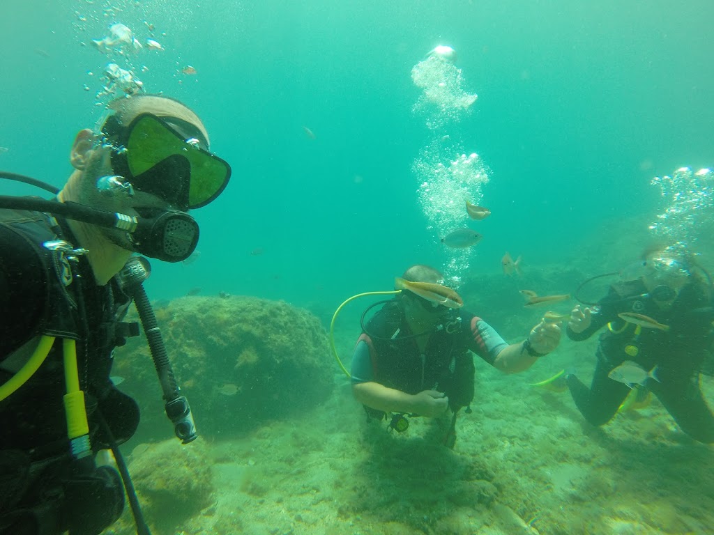 Apollo Scuba Diving Corfu