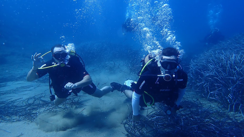 Cool Experience Dive Center