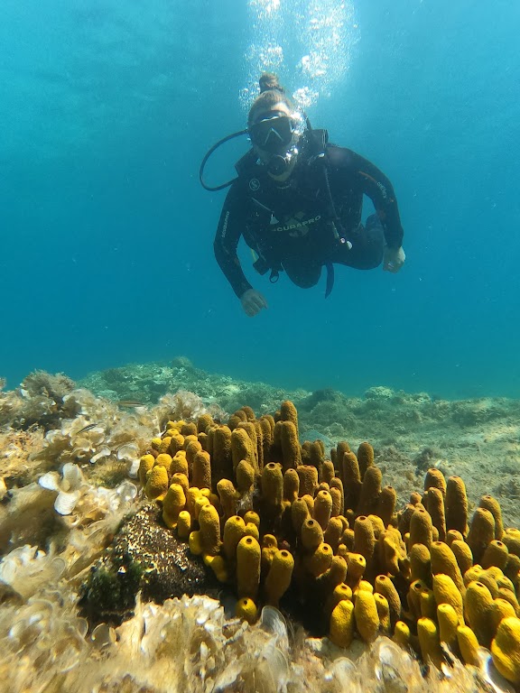 Deep Blue Divers