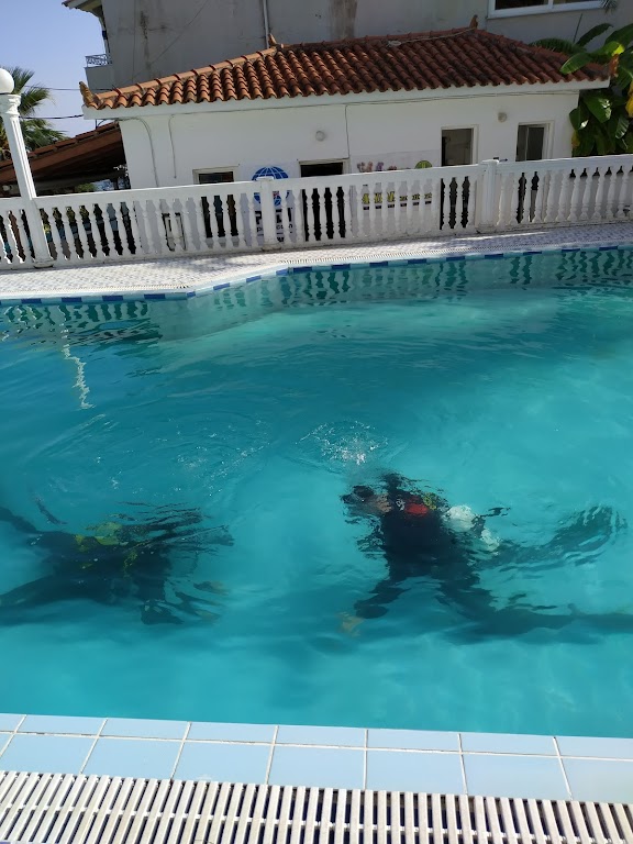 Diver'S Paradise