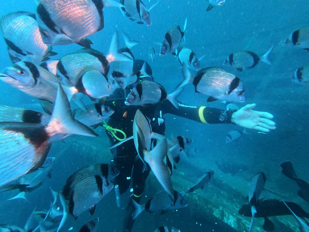 Nomad Diving School