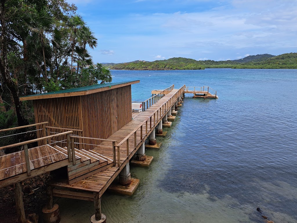 Aqua Adventures Roatan