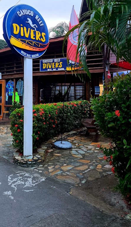 Paradise Beach Divers