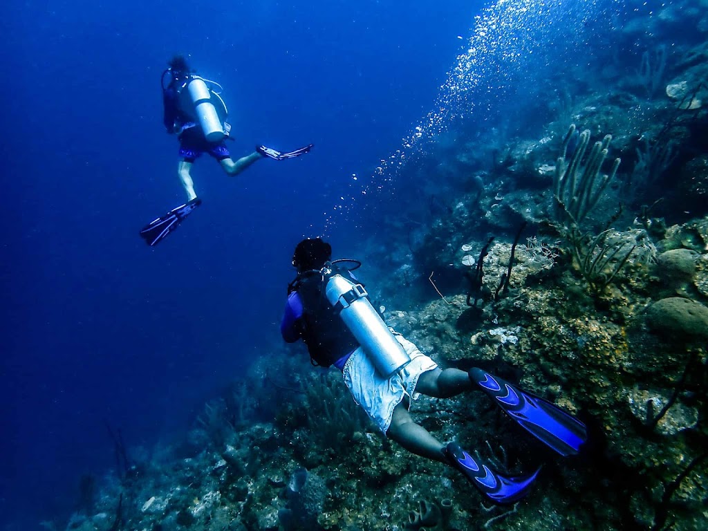 Moana Divers Roatan