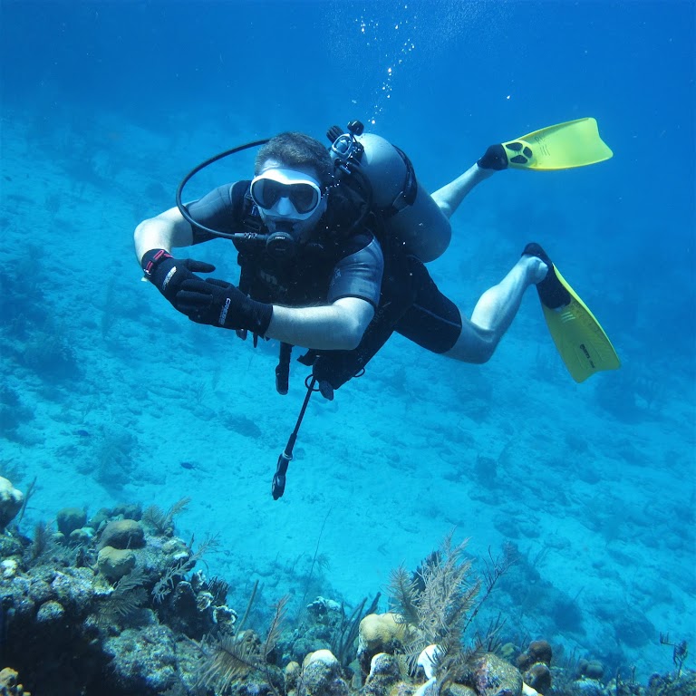 Roatan Dive Center