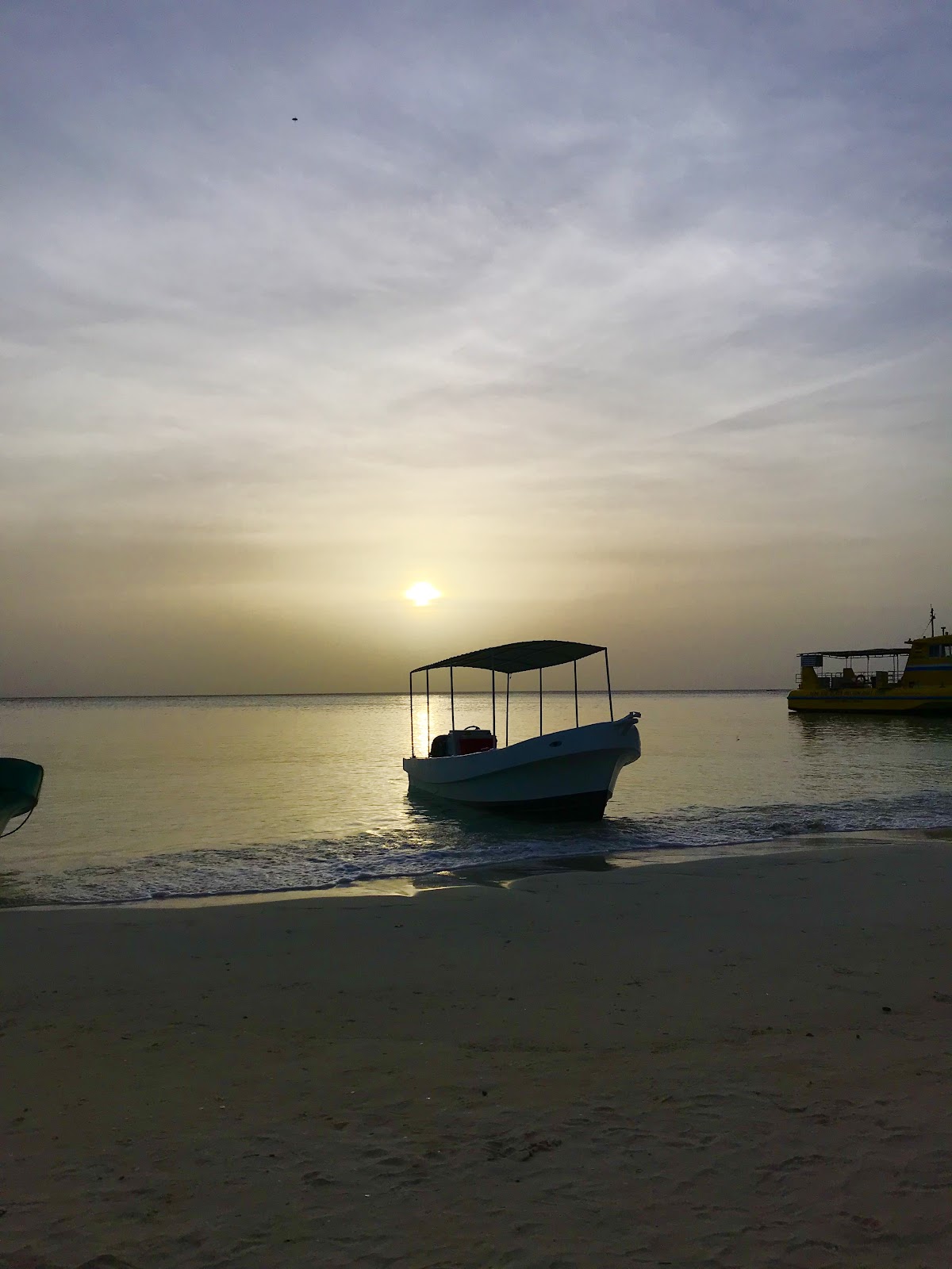 Scuba Adventures Roatan