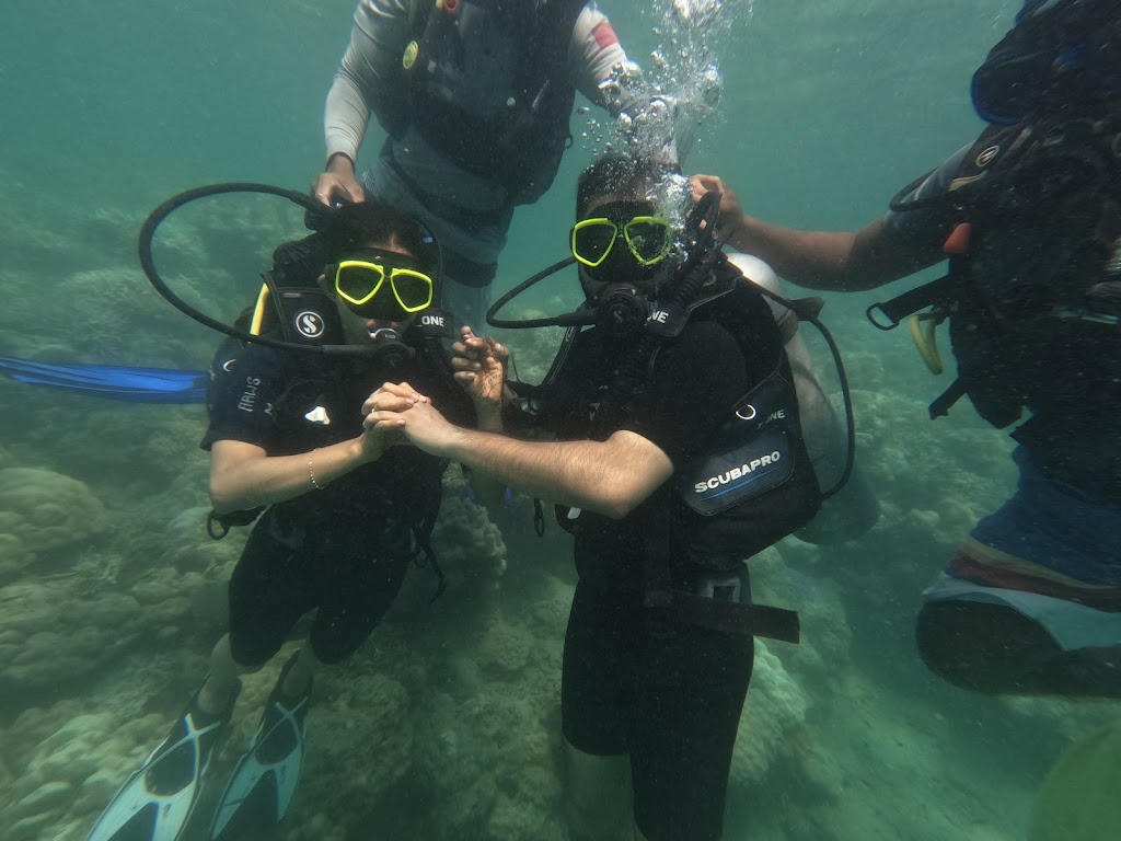 Scuba Dive In