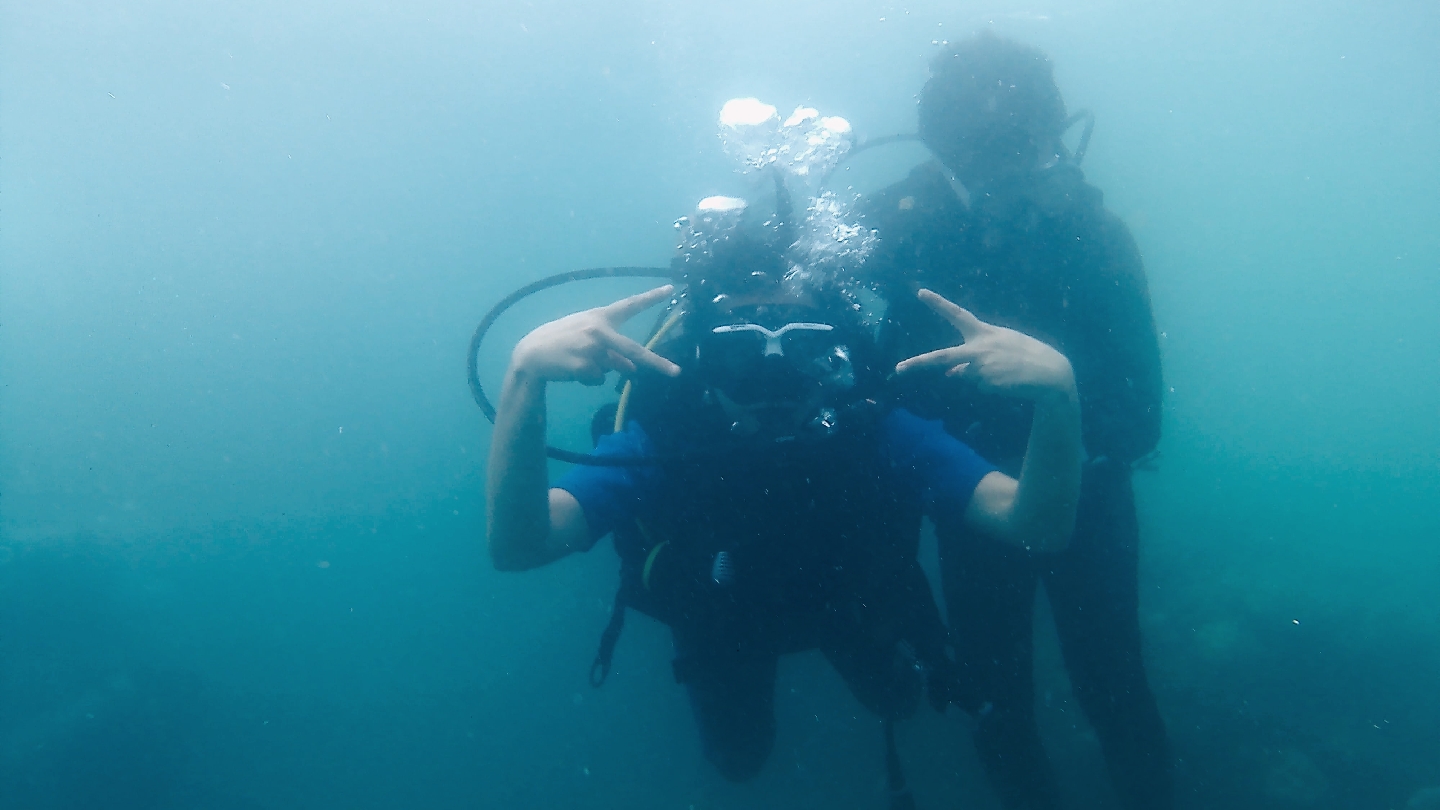 Sea Dive