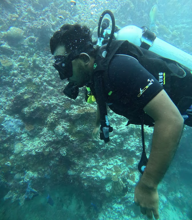 The Dive Squad