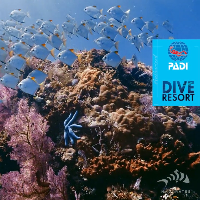 La Vida Loca Dive Center