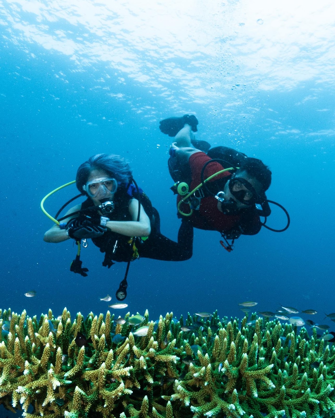 Dive Wonderful Indonesia