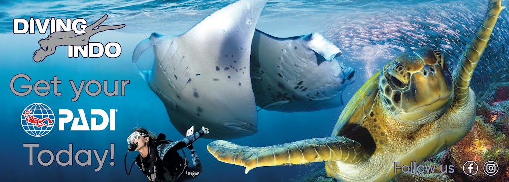 Diving Indo