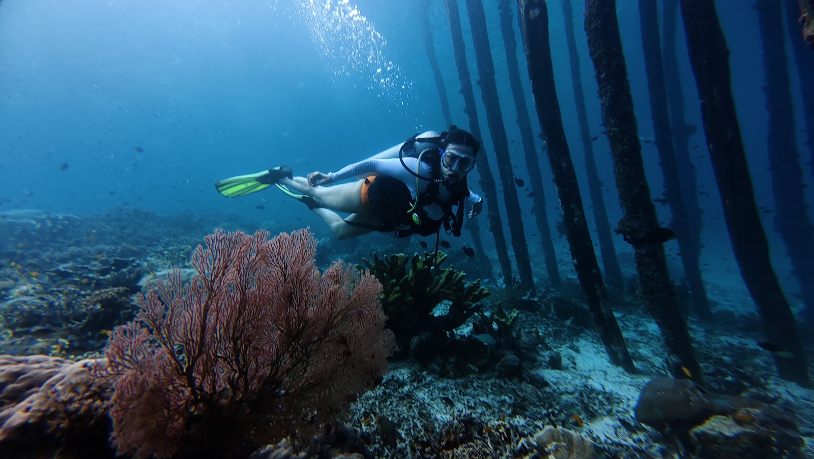 Dragonet Divers