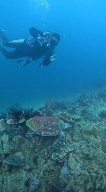 Jakarta Ocean Dive