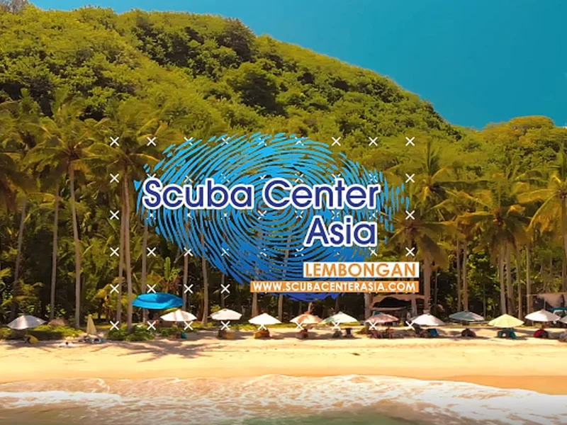 Sober Diving Centre - Lembongan