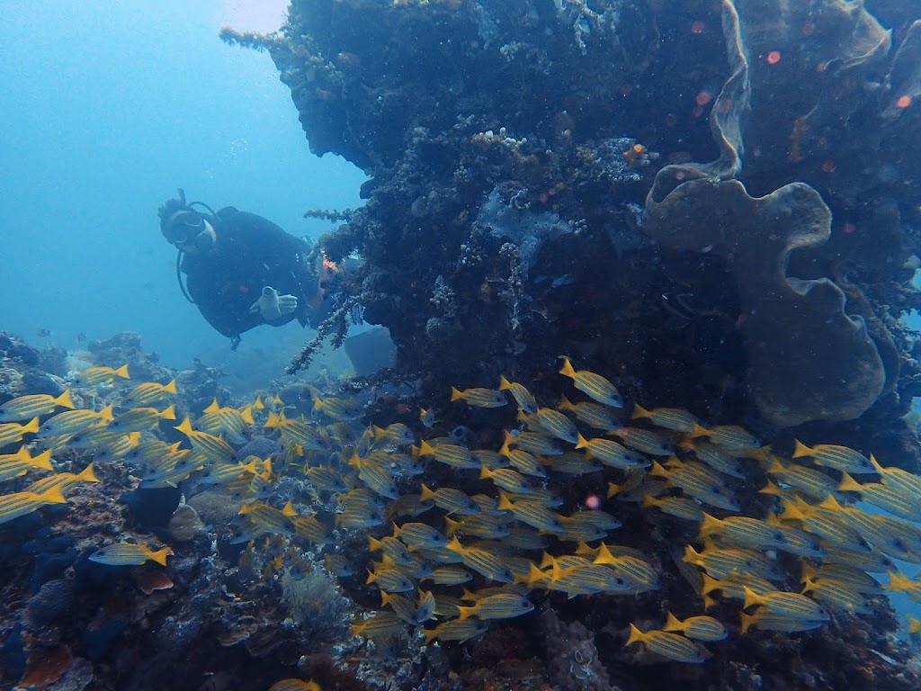Tagaroa Dive Center