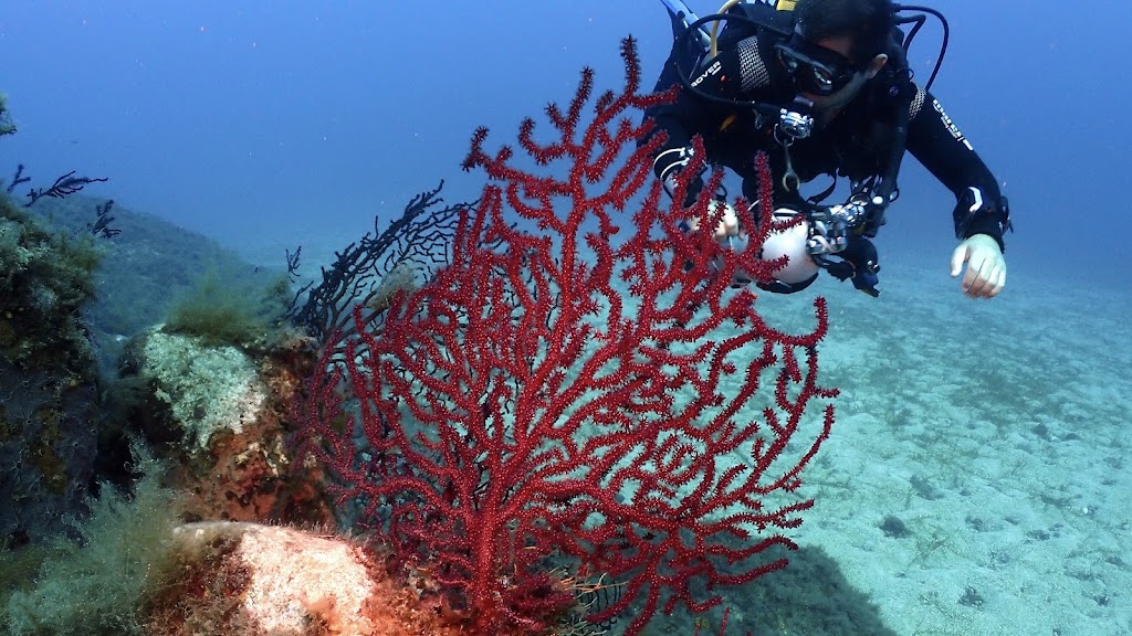 Areamare Diving