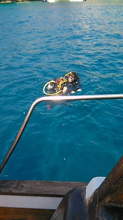 Asd Nemo Diving