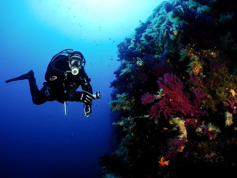 Blu Tek Diving