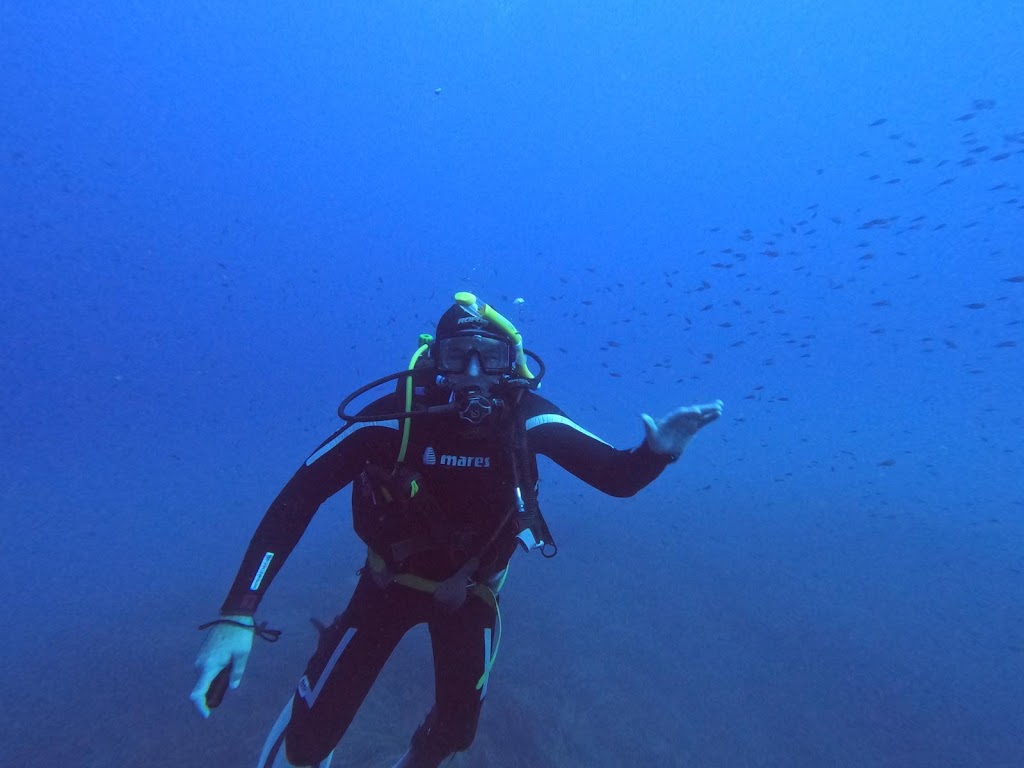 Blue Marlin Diving Center