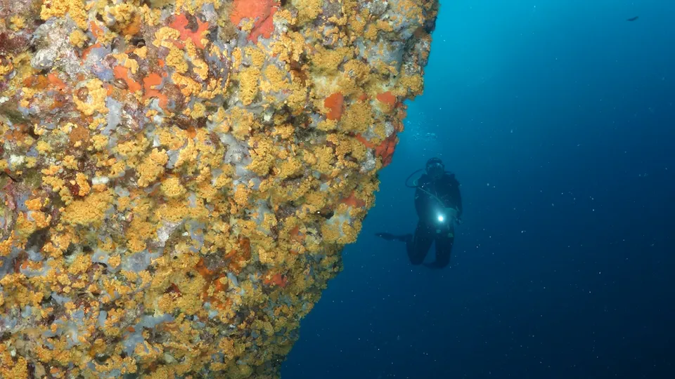 Poseidon Diving Center