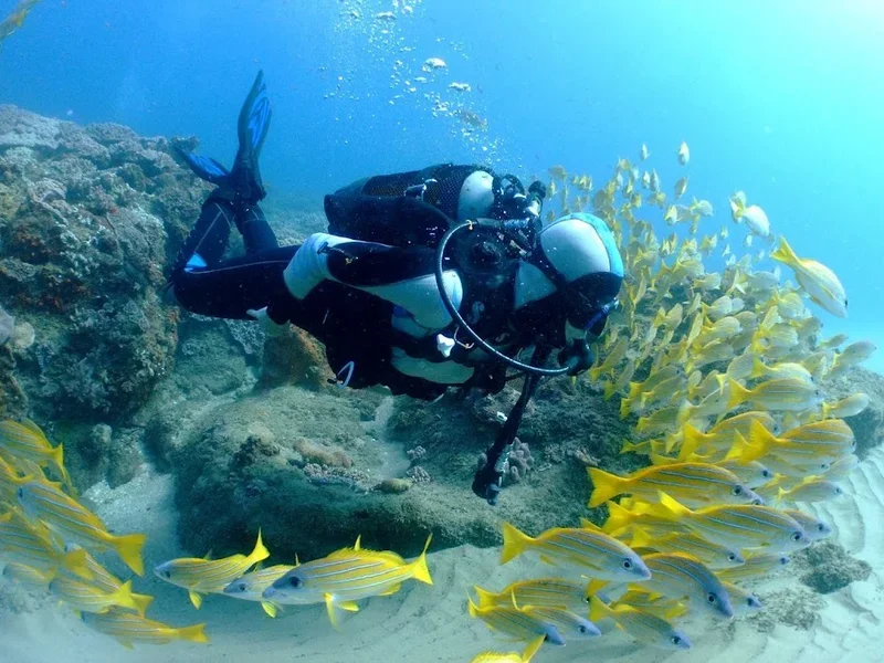 Scuba & Sail Adventures