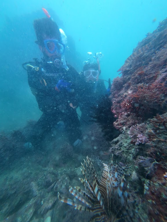 Hayama Diving Service