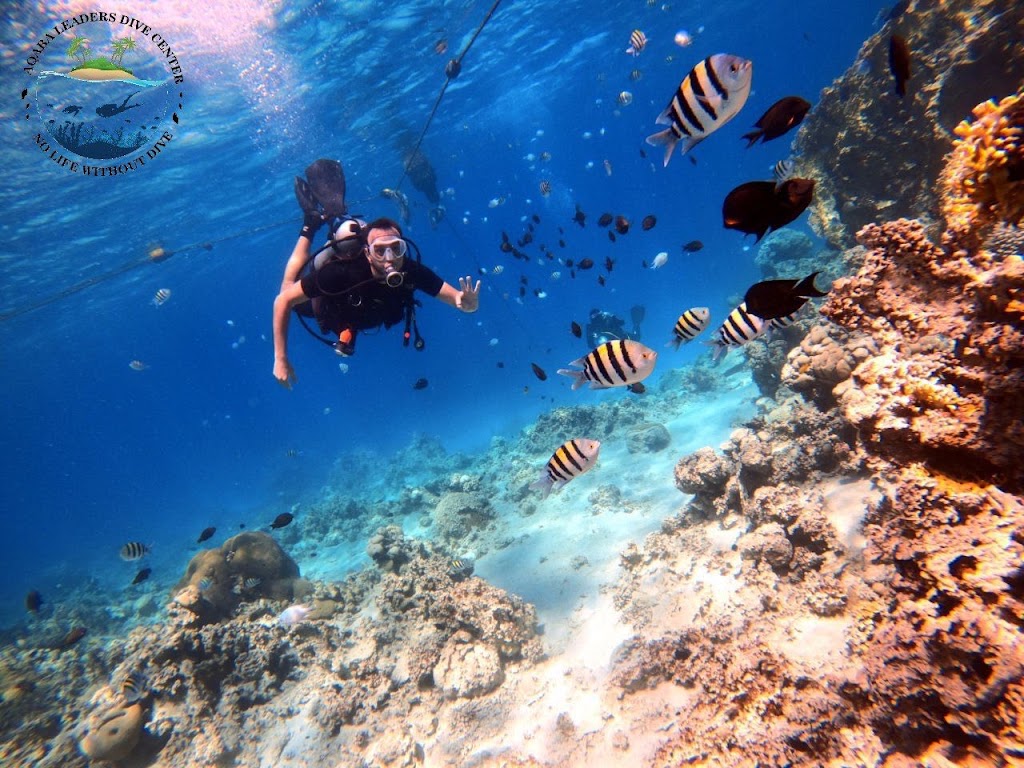 Aqaba Leaders Dive Center