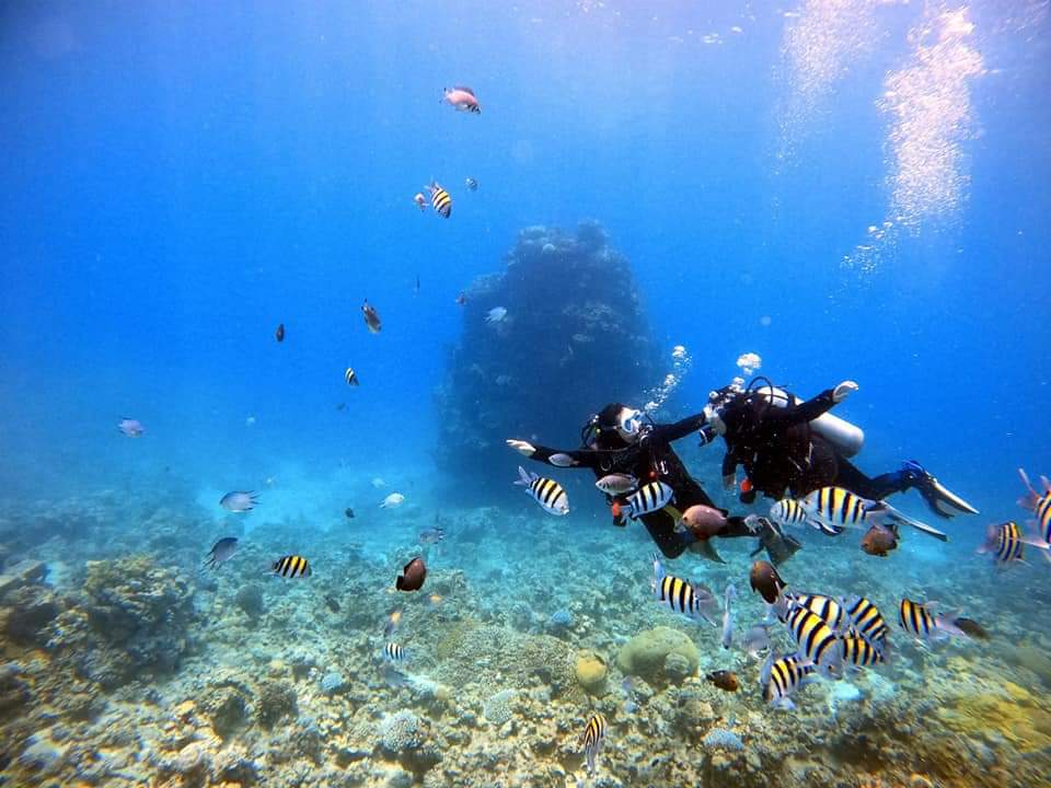 Aqaba Seahorse Dive Center