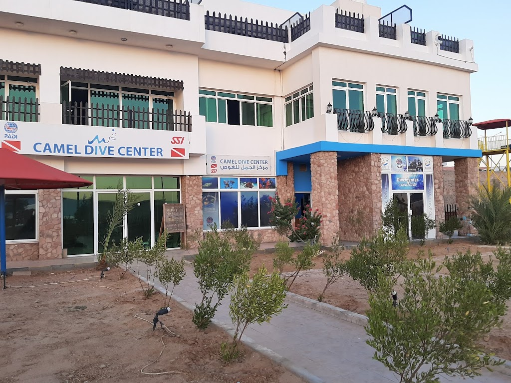 Camel Dive Center