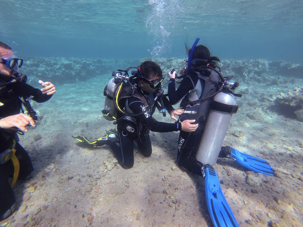 Coral Garden Diving Center