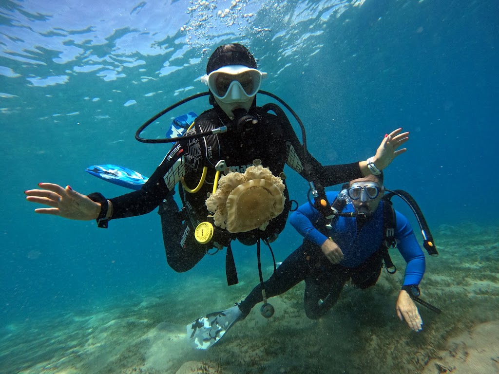 Exodus Dive Center