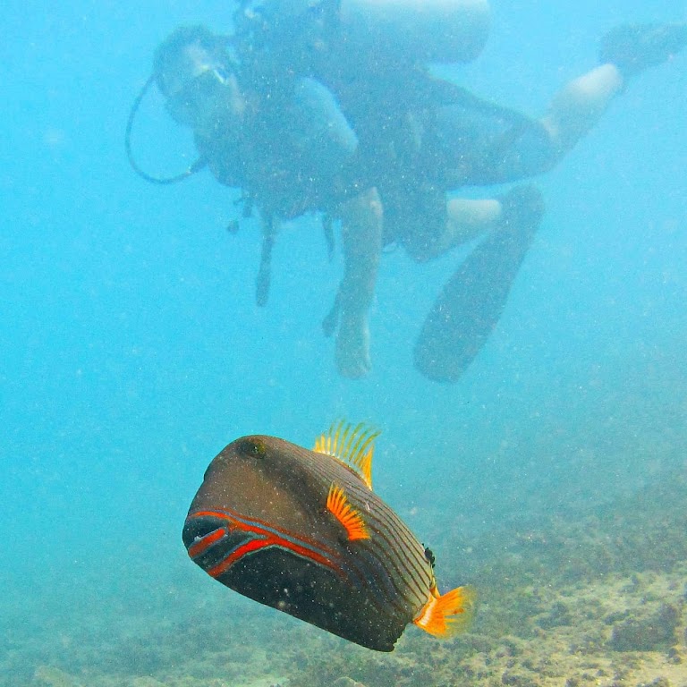 Calico Jacks Ocean Adventures