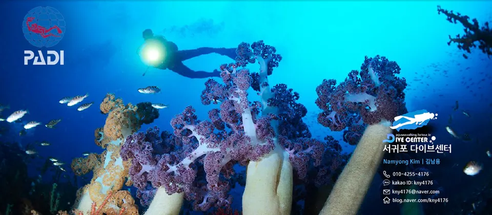 Seogwipo Dive Center
