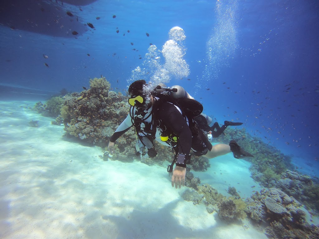 Stingray Diver Center