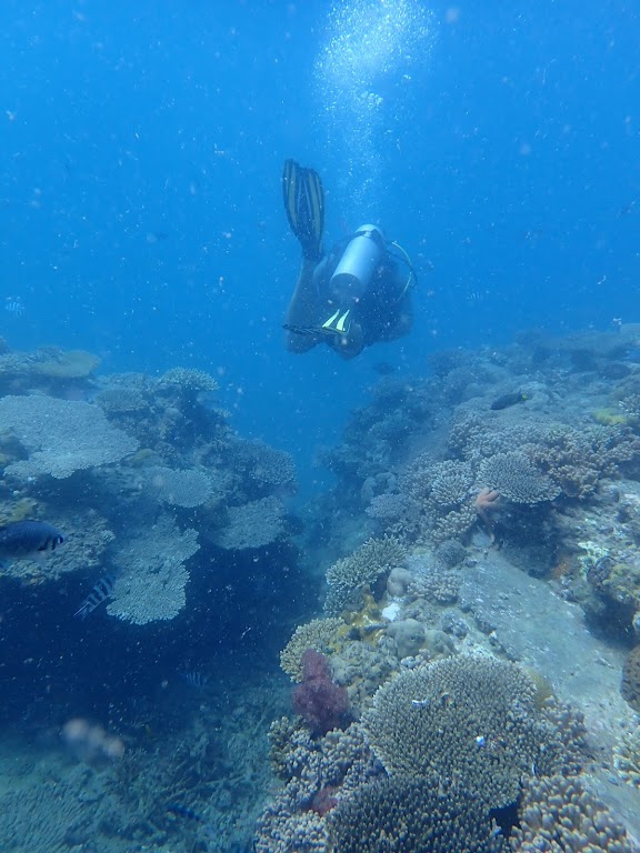 Blue Vision Dive Center