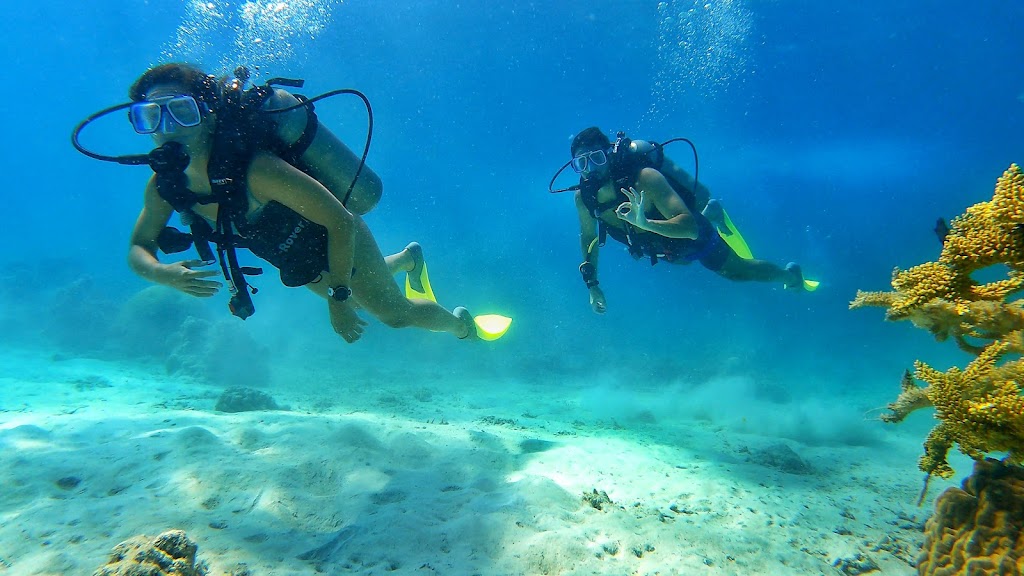 Chomel Dive Center