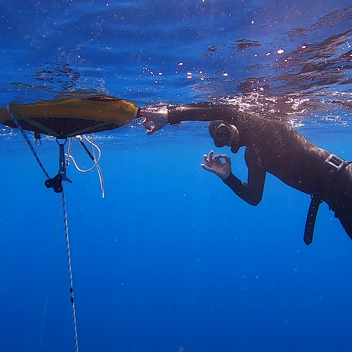 Aida Freediving Malta