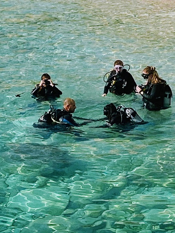 Blue Waters Dive Cove Diving Centre