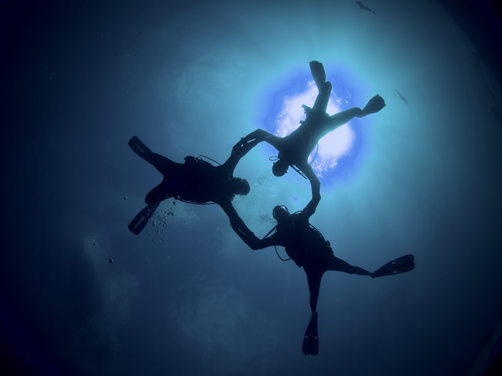 Dive Deep Blue By Abc Diving
