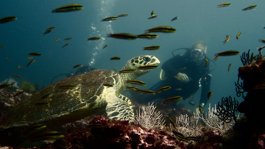 Aventura Submarina