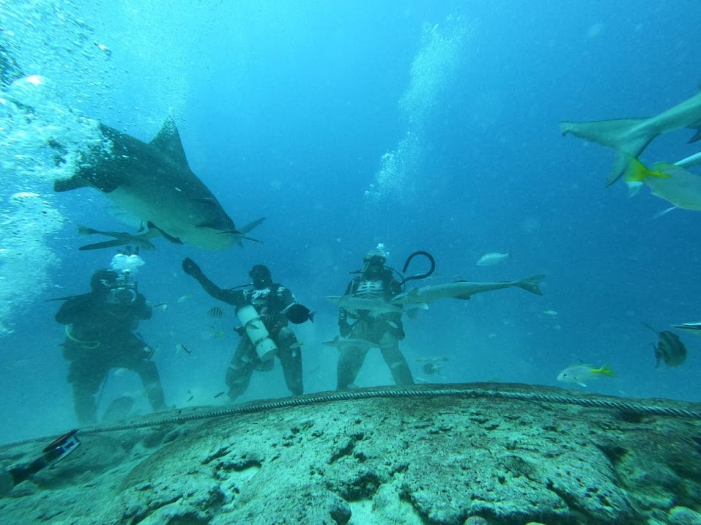 BuceoMex Dive Center