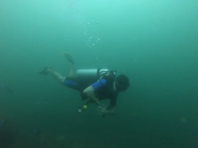 Cabo Private Guide