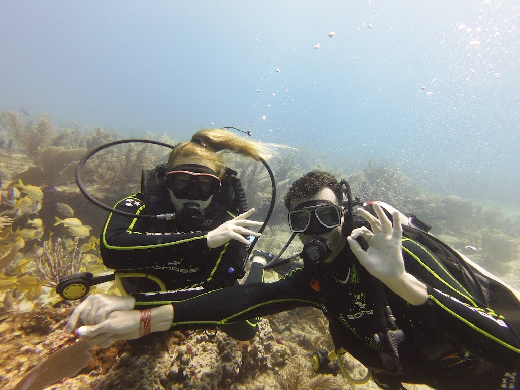 OmDelfin Dive Center