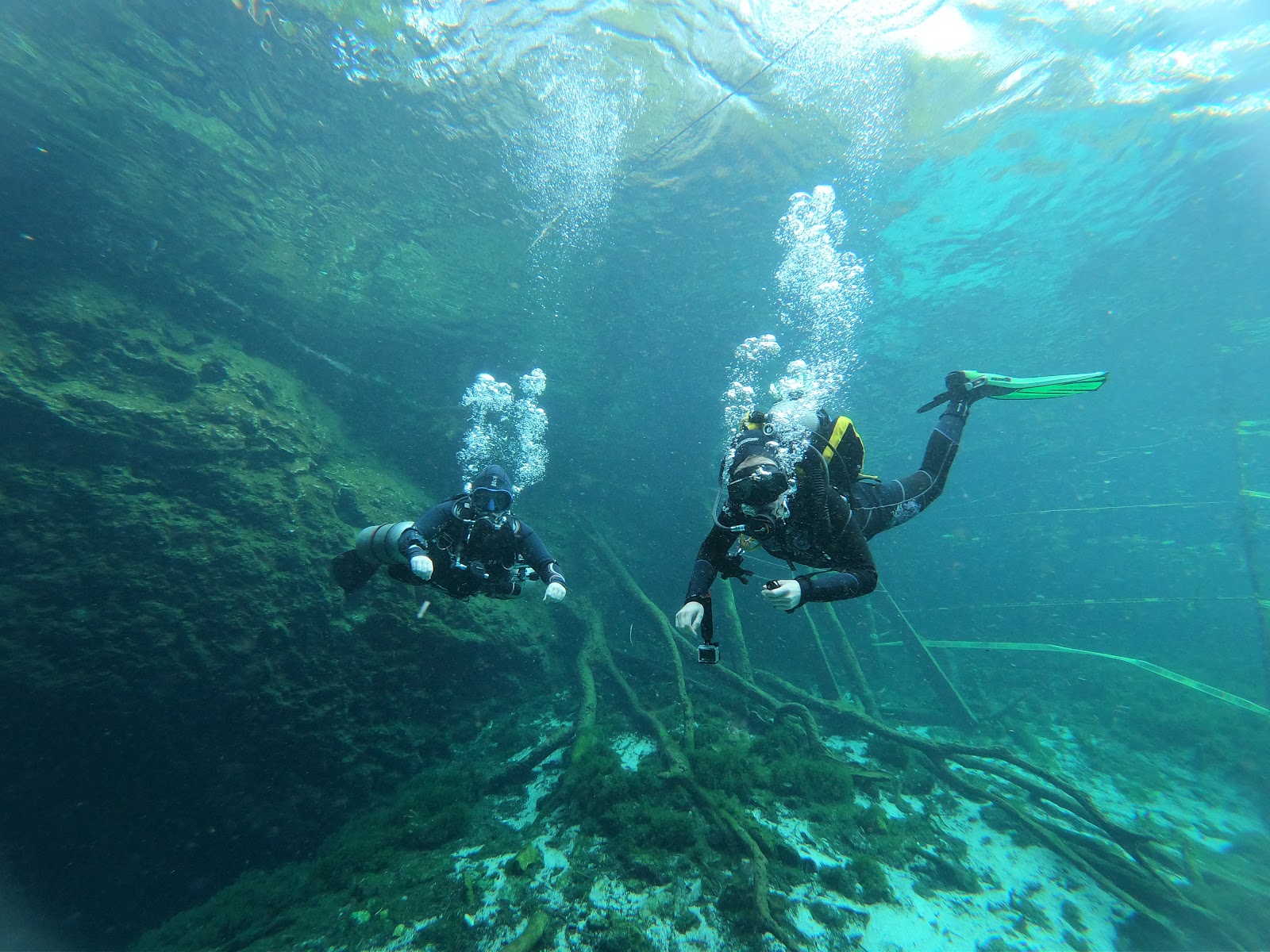 Go Dive Mexico