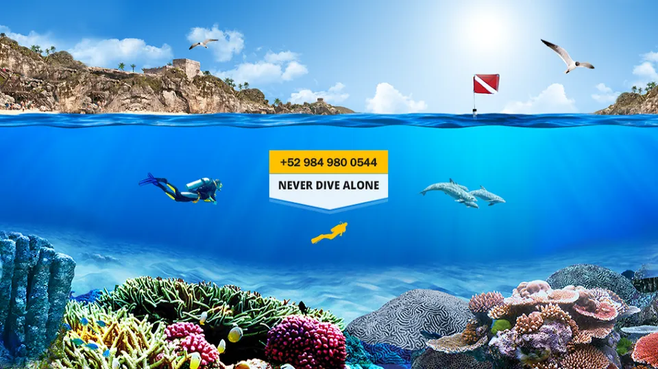 Koox Diving Center
