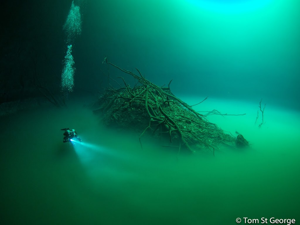 La Calypso Dive Center