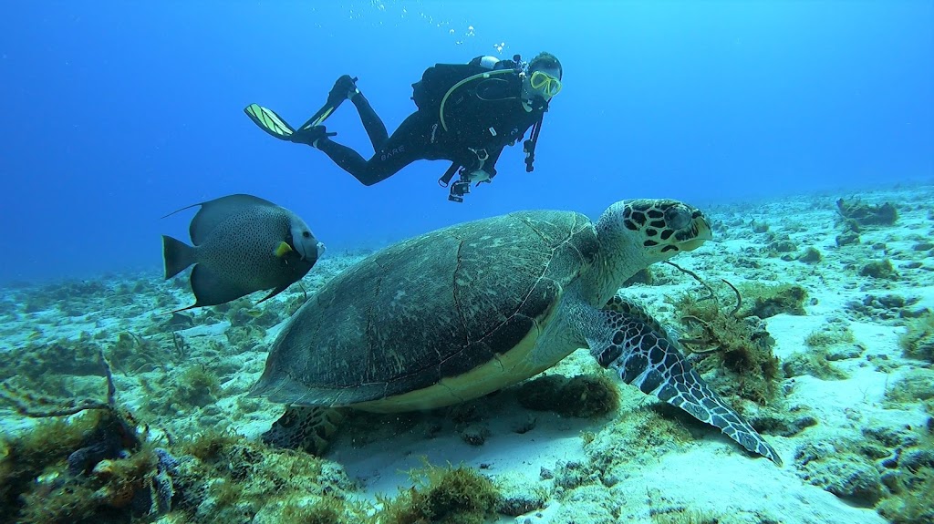 Living Underwater