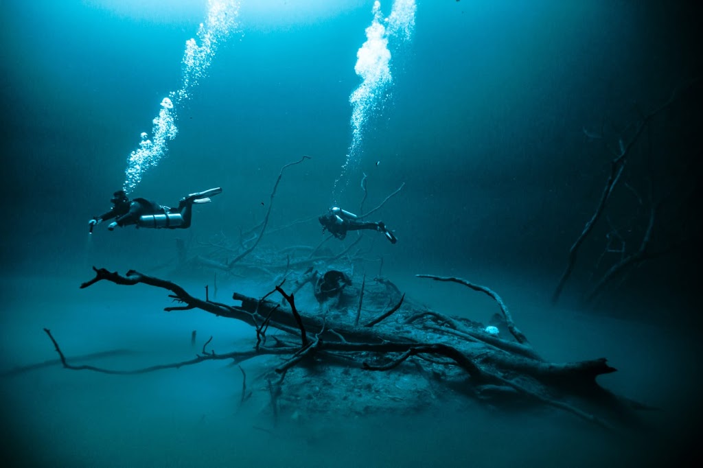 Pasku Dive Center