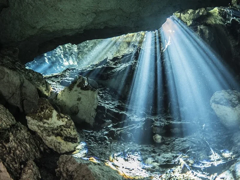 The Cenote Guy - Cenote Diving
